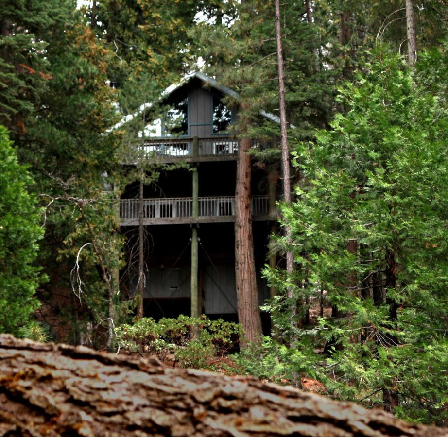 Tree House Lodge Yosemite West Exteriör bild