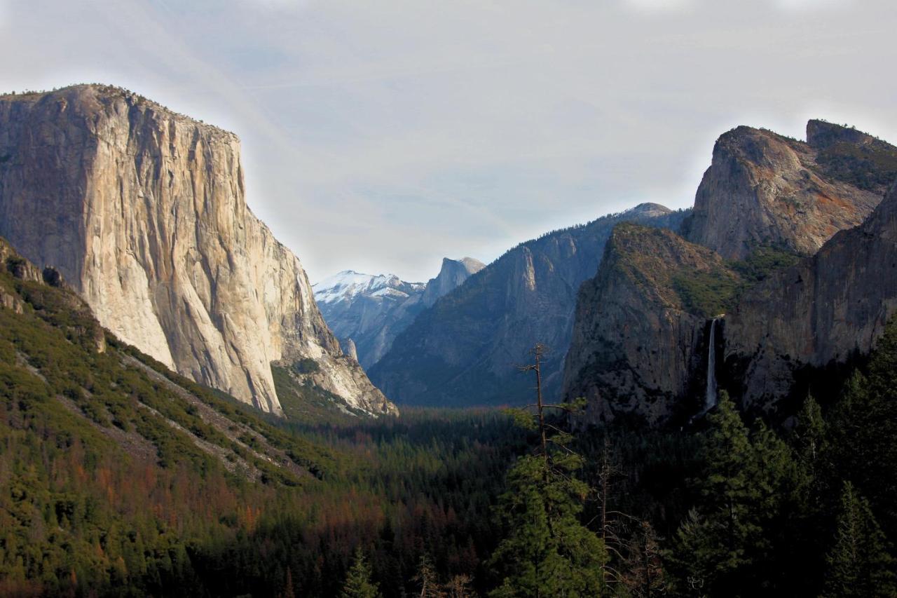 Tree House Lodge Yosemite West Exteriör bild