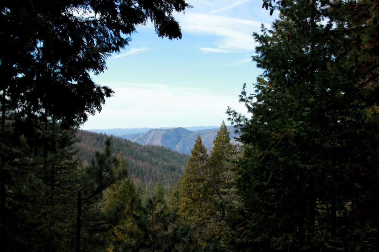 Tree House Lodge Yosemite West Exteriör bild